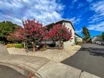 Bridgeview Apartments - Photo 1 of 1