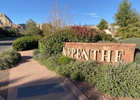 featured image of 431 Desert Poppy Dr