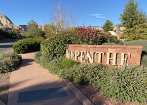 431 Desert Poppy Dr - Photo 1 of 1