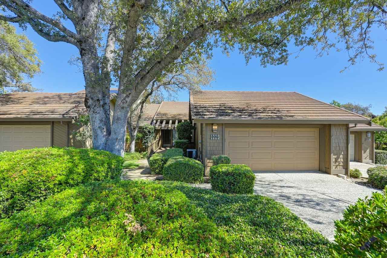 1225 Red Dog Ln - Photo 2 of 41