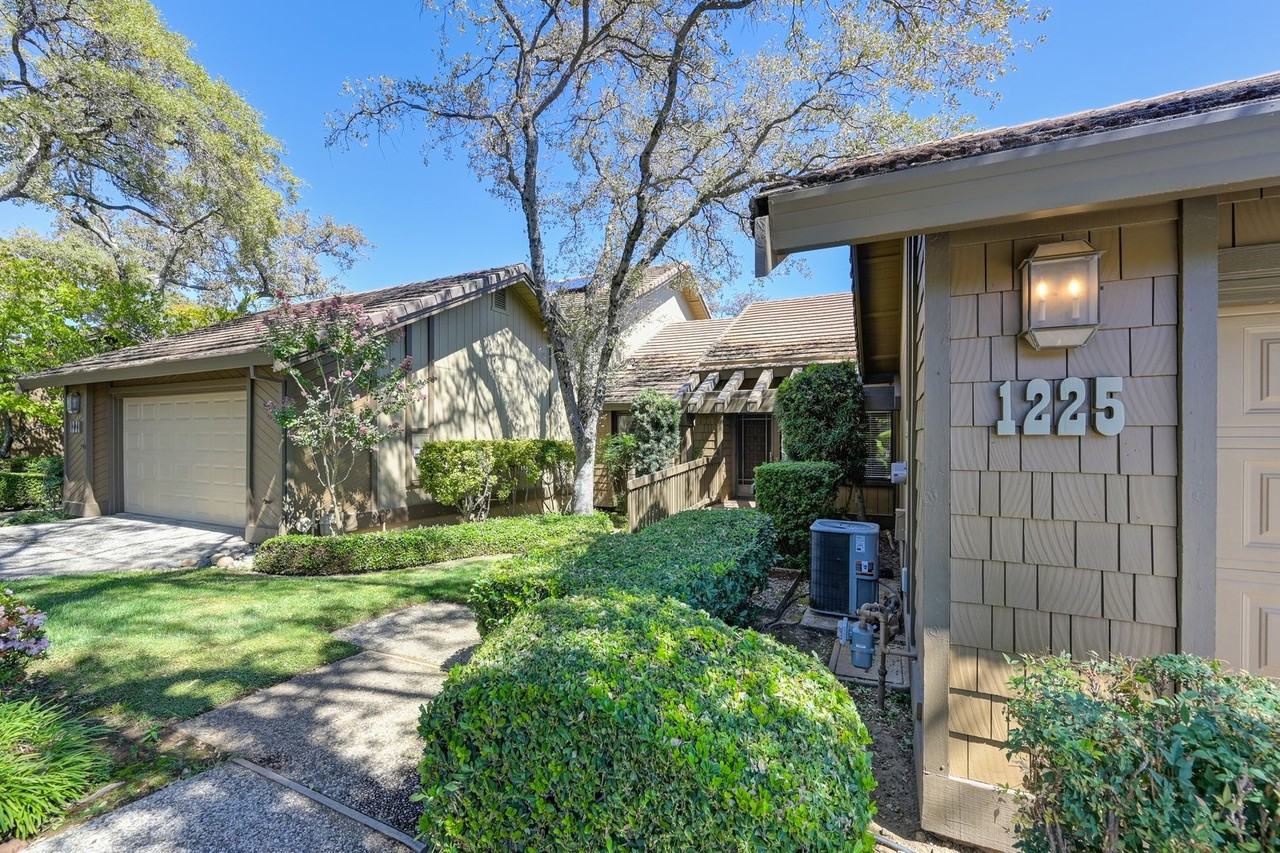 1225 Red Dog Ln - Photo 4 of 41