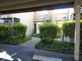 1909 Covillaud St #37 - Photo 1 of 1