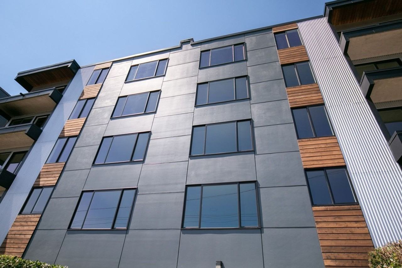 Dexter 18 - Photo 3 of 9