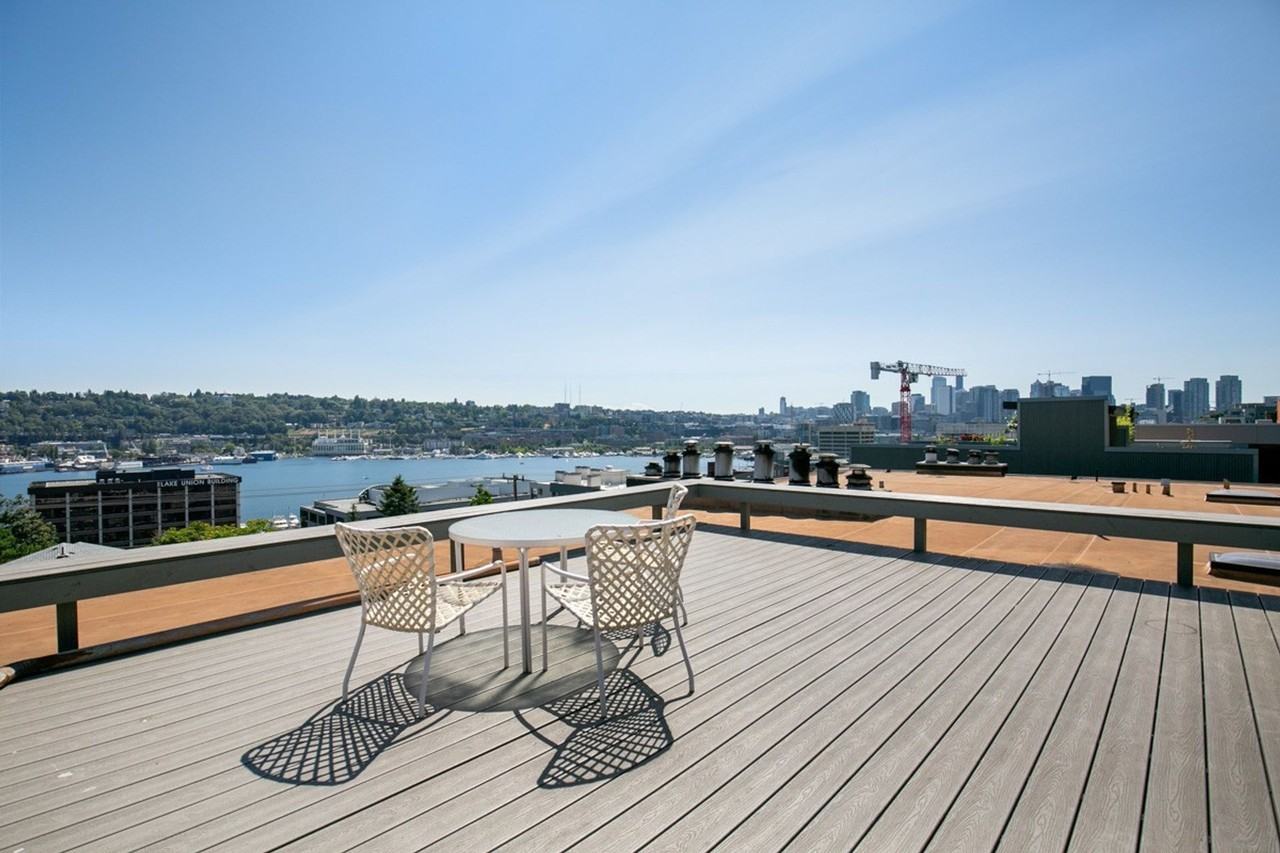 Dexter 18 - Photo 7 of 9