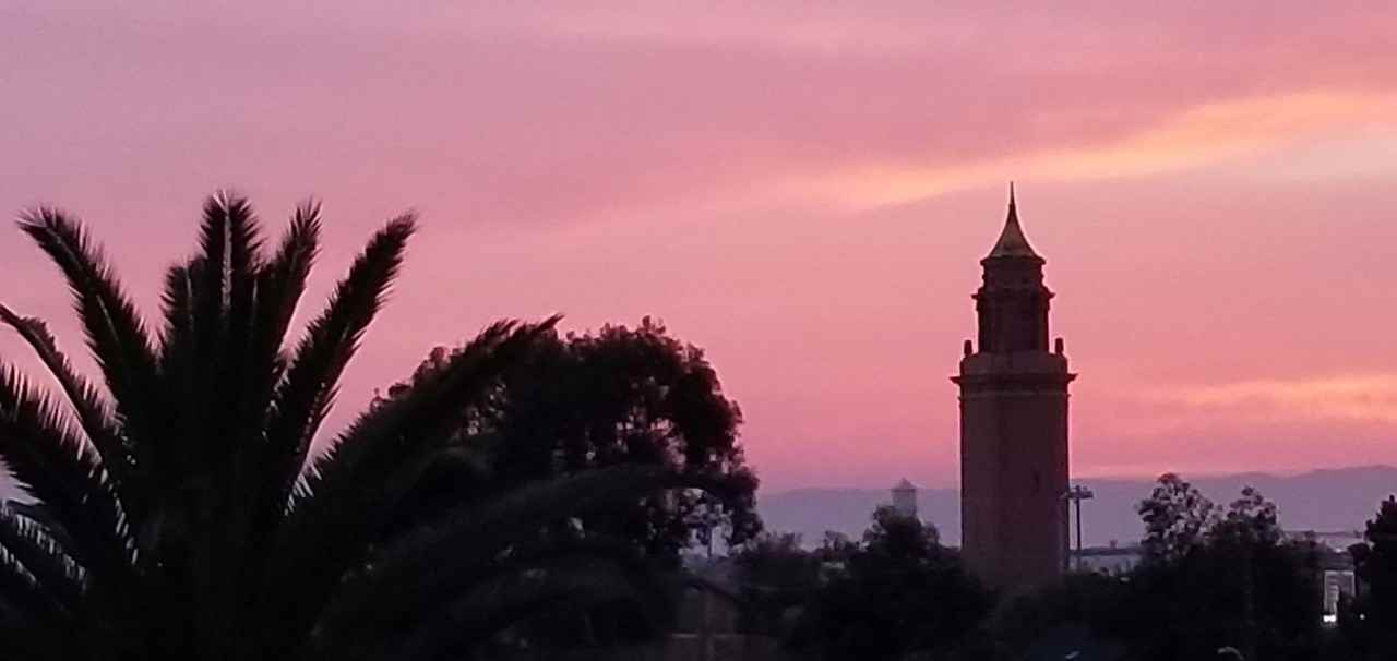 The Palms On Seminary - Photo 7 of 50