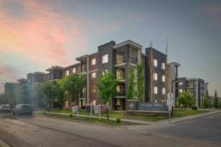 318, 7110 80 Avenue Northeast - - - Photo 1 of 1