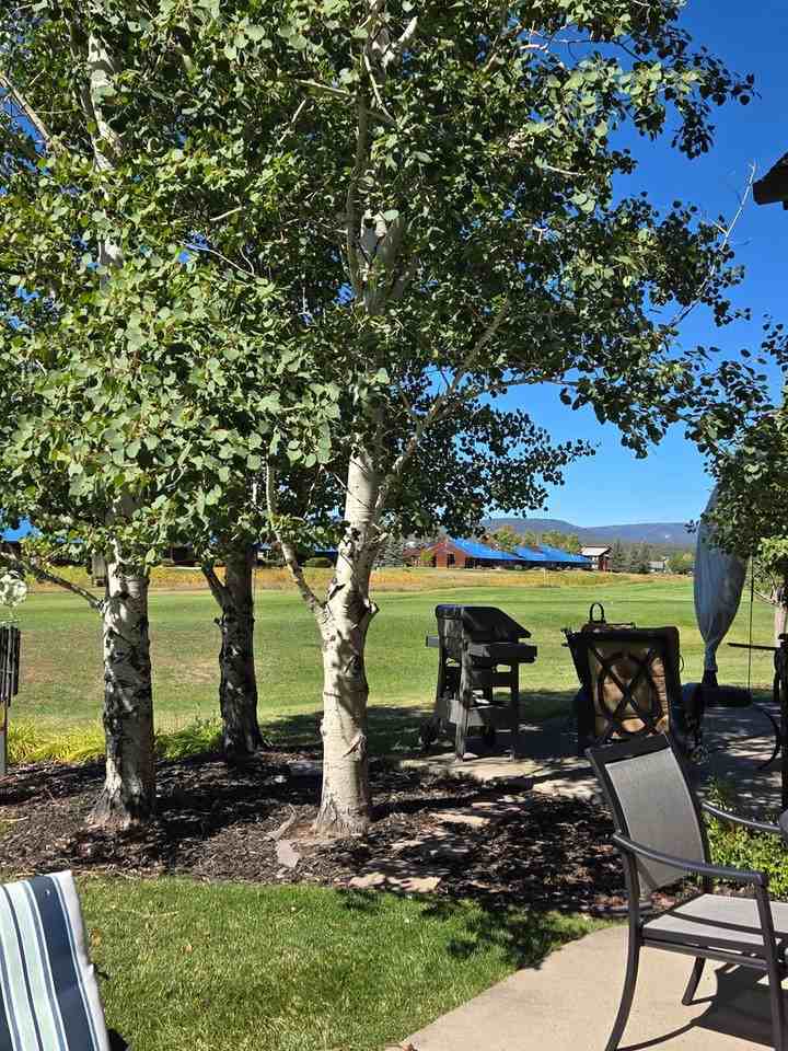 70 Holly Tree Cir - Photo 5 of 23