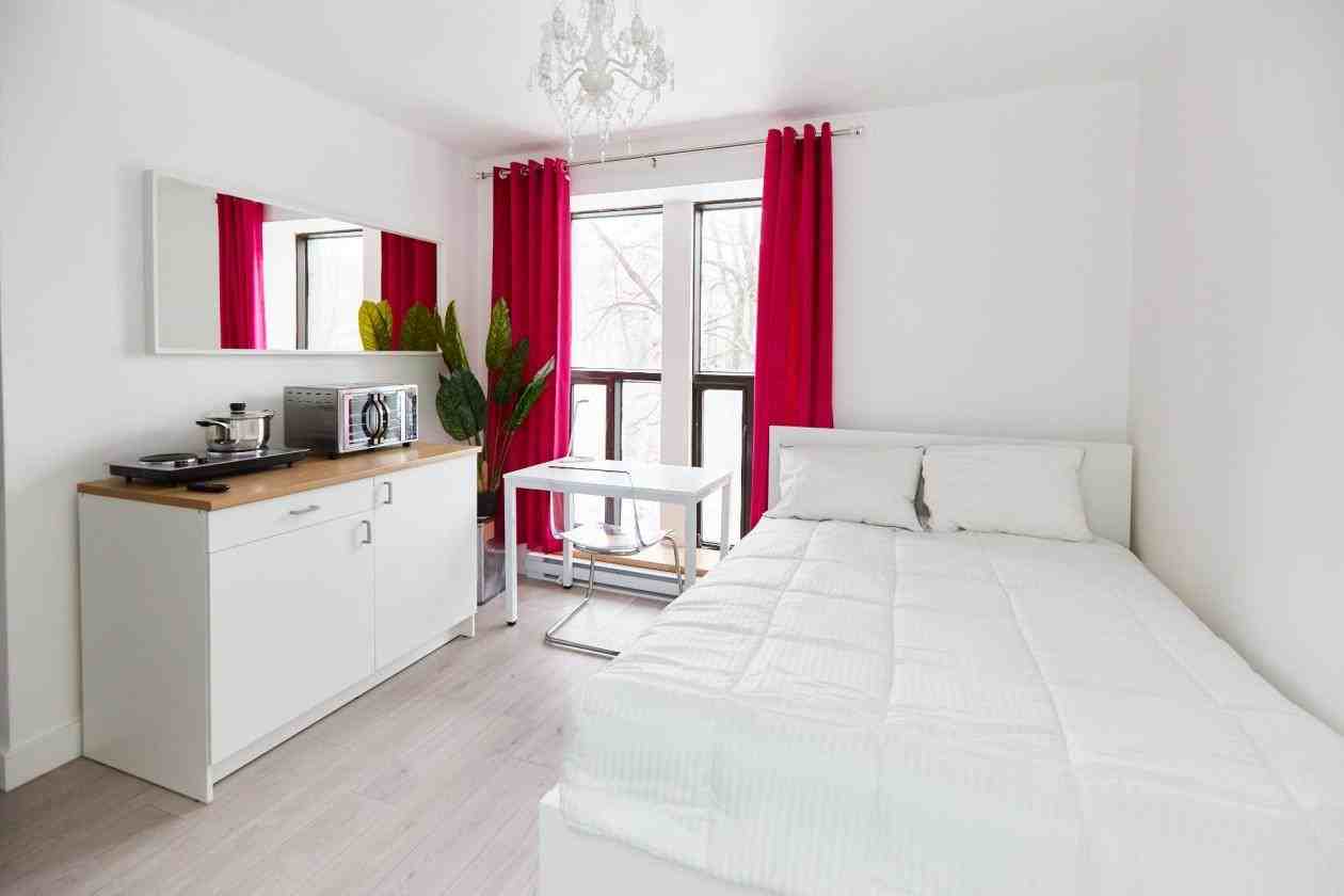 1711 Rue Saint-Denis #311