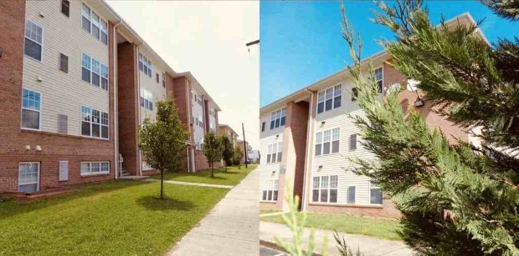 1735 7th Ave Apt 204 - Photo 4 of 6