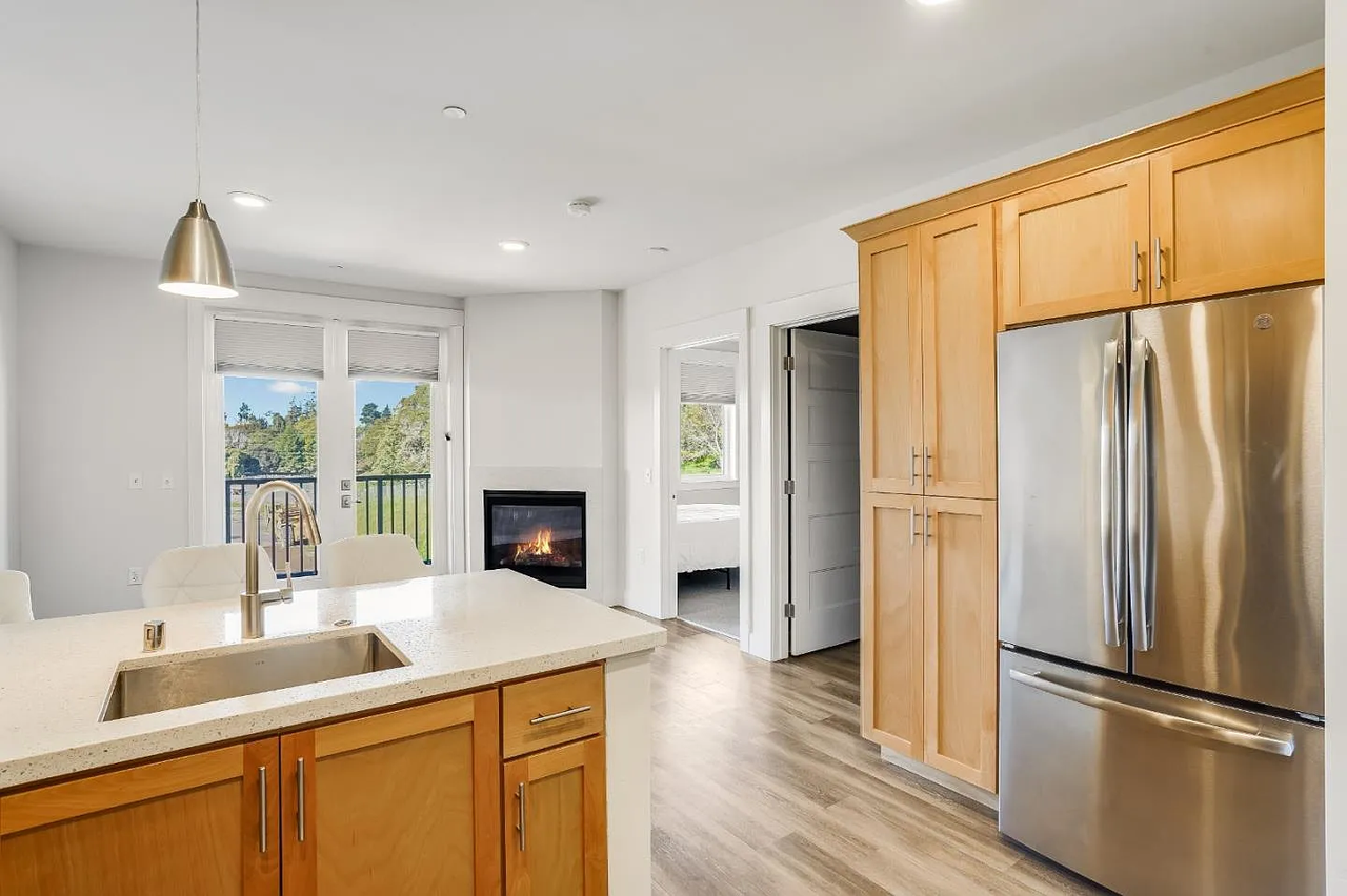 141 Aptos Village Way #206 - Photo 5 of 10