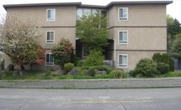 SALICE7A - Photo 1 of 1