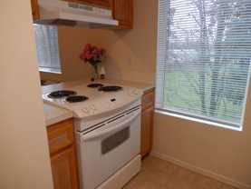 1377-01PP Stacey Lee Apartments - Photo 1 of 1