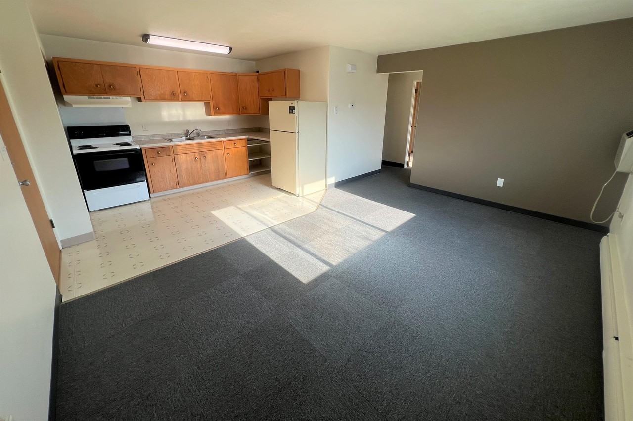 315 S Marshall St - 12 PLEX - Photo 3 of 9