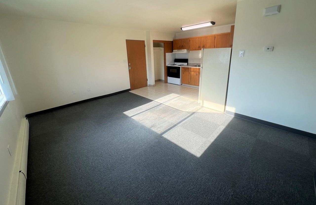 315 S Marshall St - 12 PLEX - Photo 4 of 9