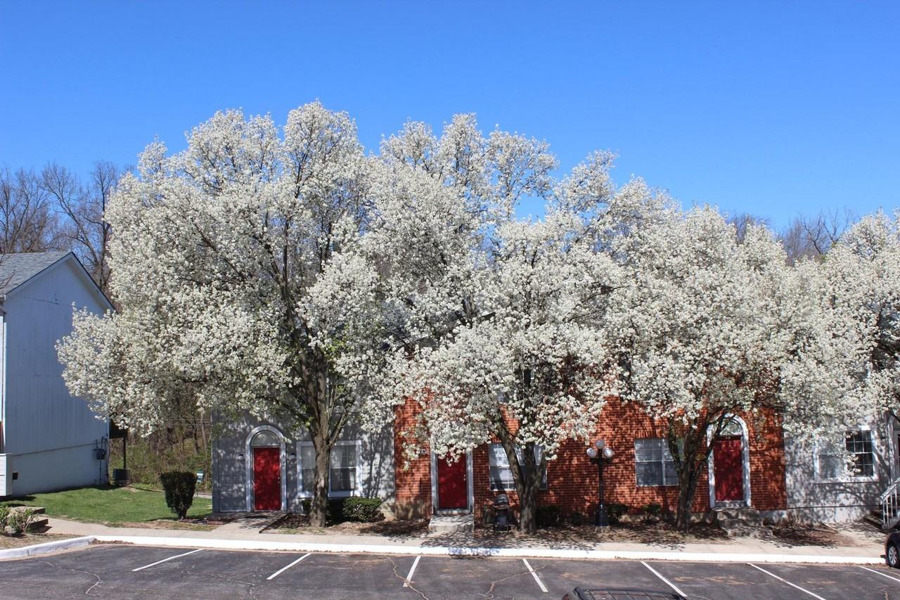 Devling Place Apartments - Photo 2 of 50