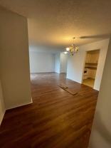 6655 Mackle - Photo 1 of 1