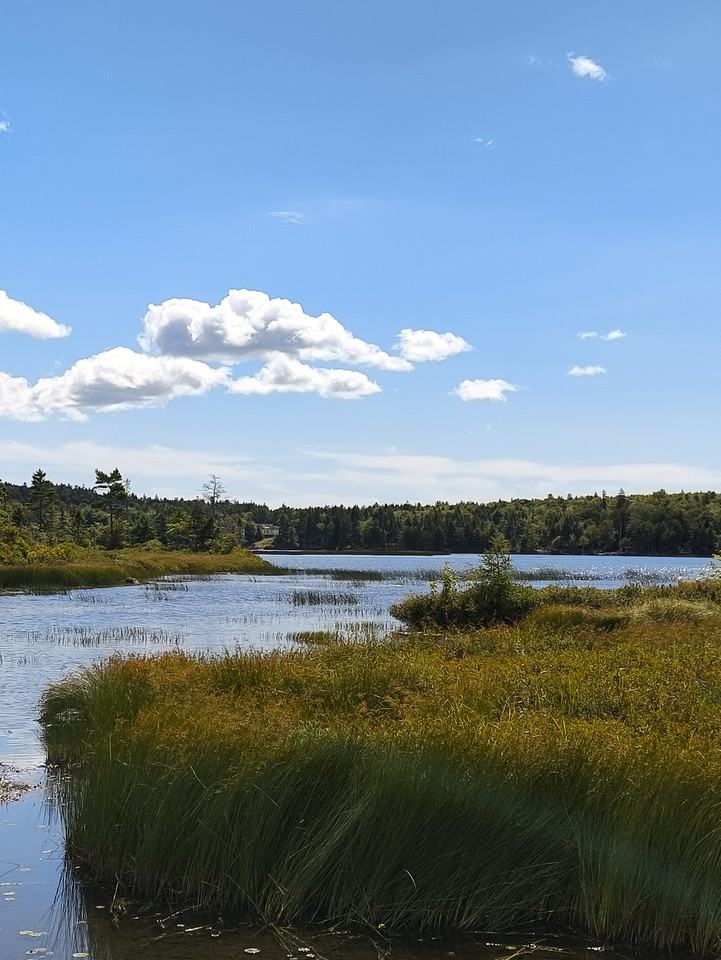 22 Oxer Close - Photo 3 of 30