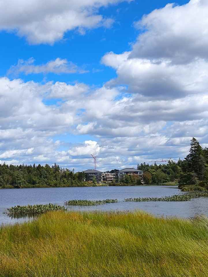 22 Oxer Close - Photo 4 of 30