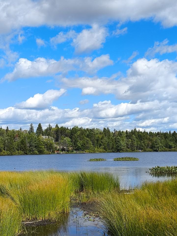 22 Oxer Close - Photo 5 of 30