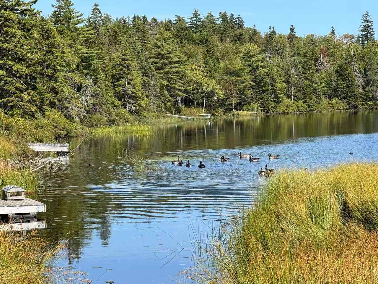 22 Oxer Close - Photo 7 of 30