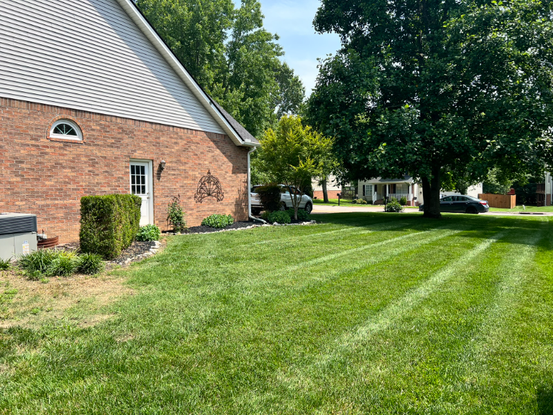 2686 Douglas Ln - Photo 6 of 40