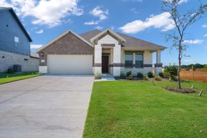 featured image of Yellowstar Lane #NA