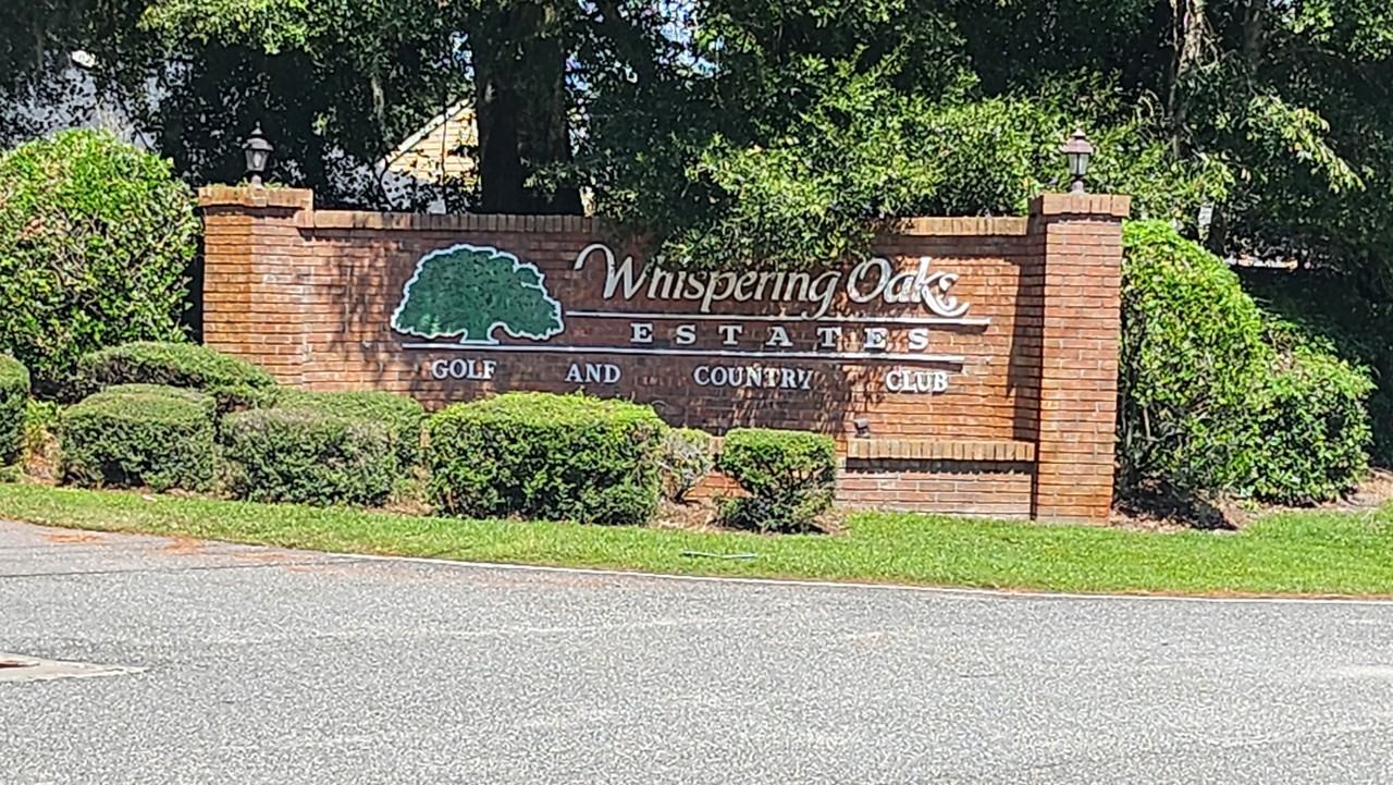 35097 Whispering Oaks Blvd #NA - Photo 3 of 27