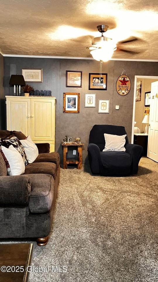 4 Zephyr Ln - Photo 4 of 18