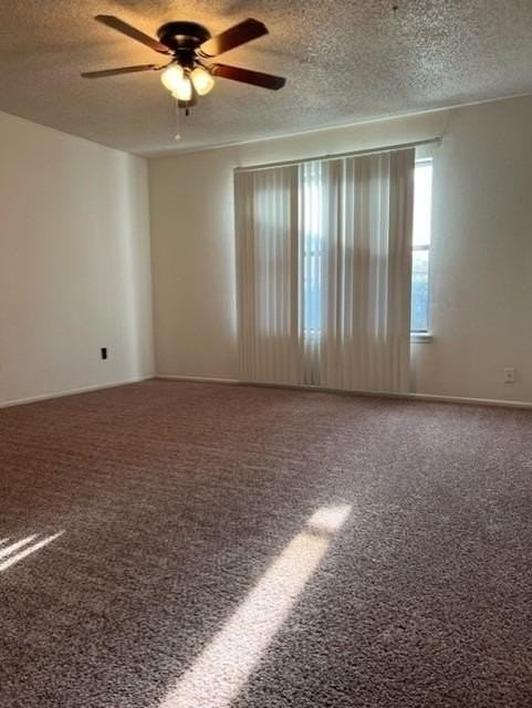 1113 80th St Apt A #A - Photo 5 of 13