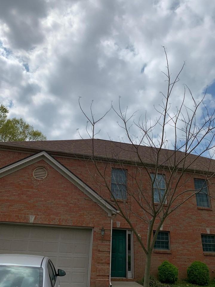 916 Literary Cir - Photo 3 of 19