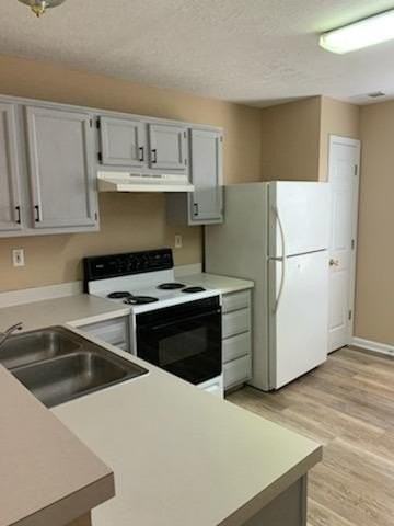 449 Dabney Drive - Photo 4 of 14