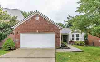 featured image of 2017 Allegheny Way