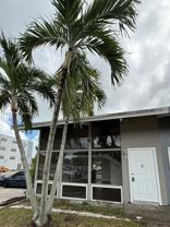14310 Ne 5th Pl #1 - Photo 1 of 1