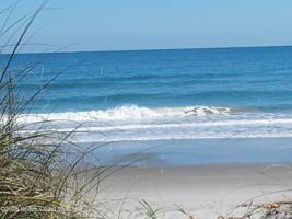 featured image of 2100 N Atlantic Ave Apt 901 #901