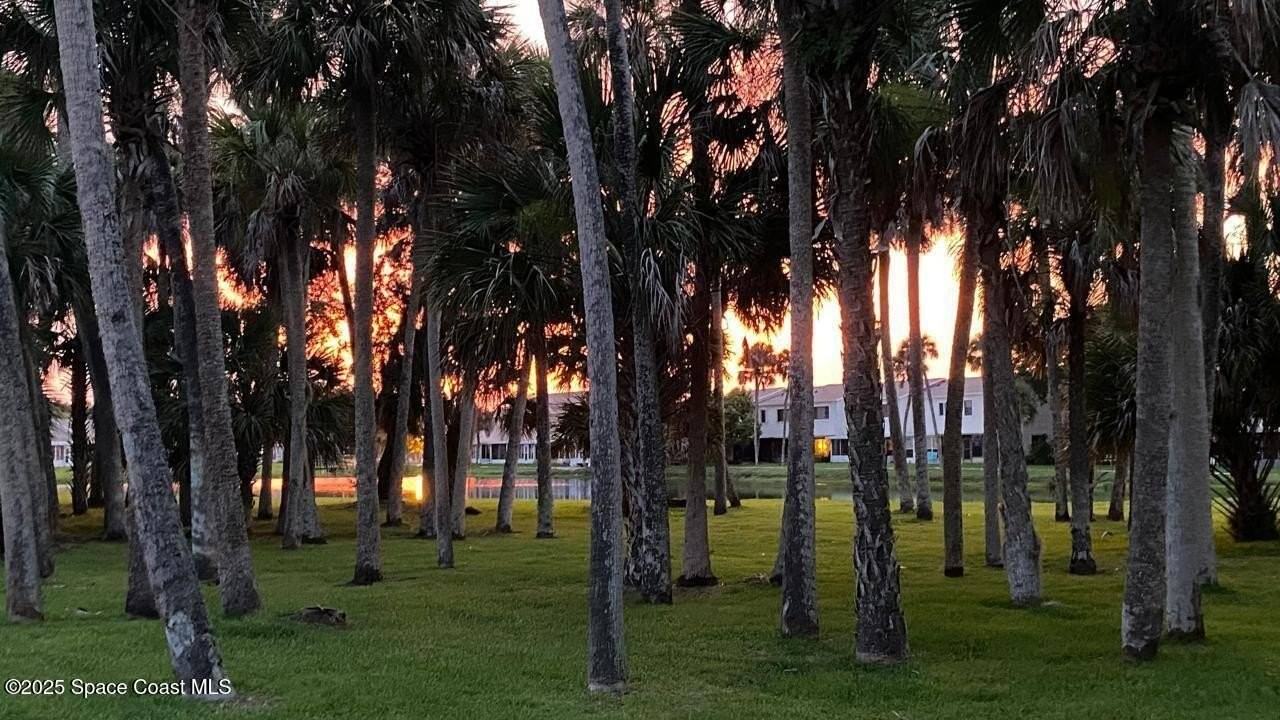 277 Forecast Ln Unit 4-19 #4-19 - Photo 6 of 40