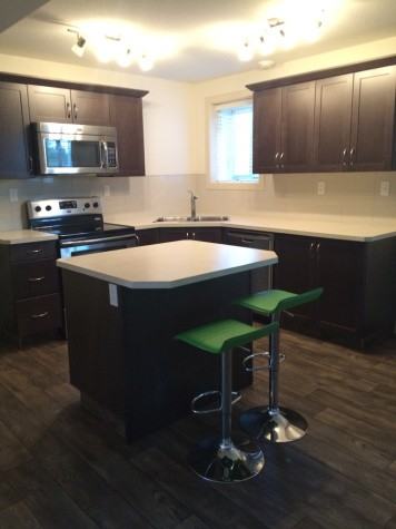 Basement Suite! Pet Free! Near RDC and Hospital! - Photo 2 of 8