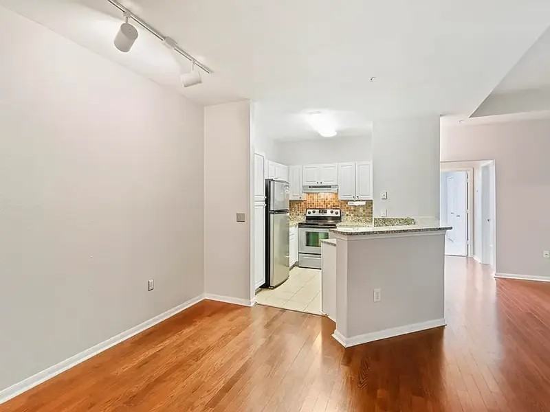 60 Fenwick Hall Aly #237 - Photo 4 of 28