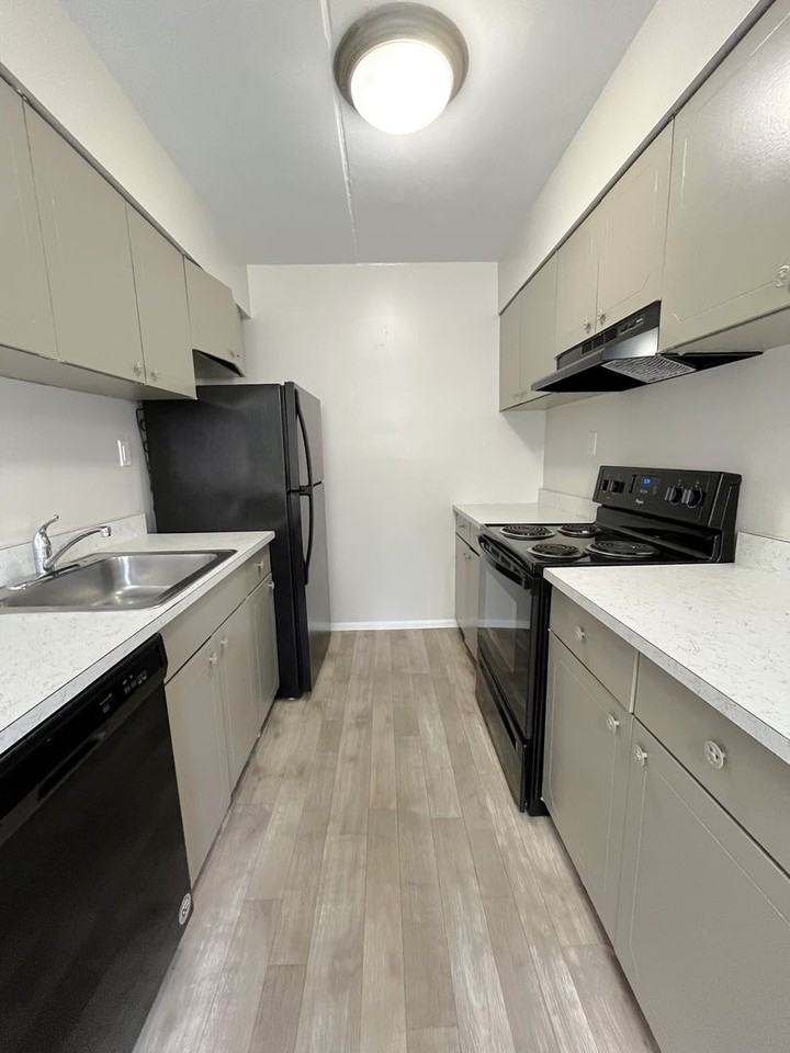 Lindenwood North and West - Photo 4 of 19