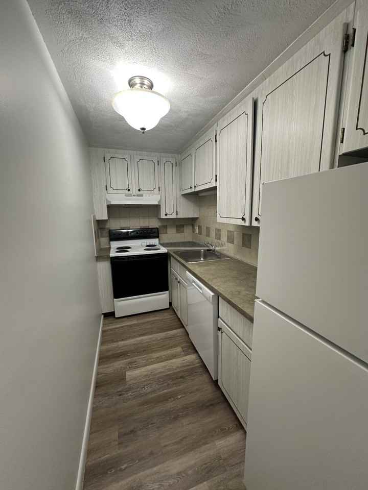 181 Lexington St #24 - Photo 2 of 10