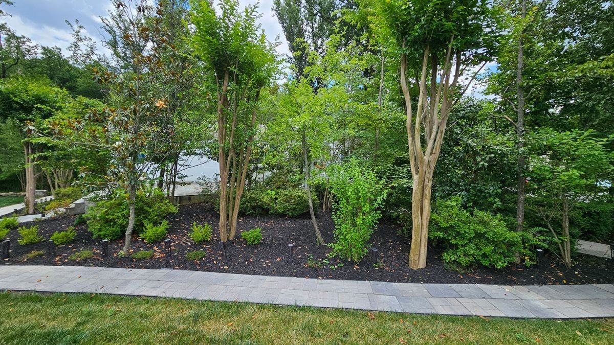 4901 Chowan Ave - Photo 3 of 38