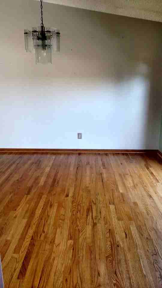 1119 W Granite St - Photo 3 of 15