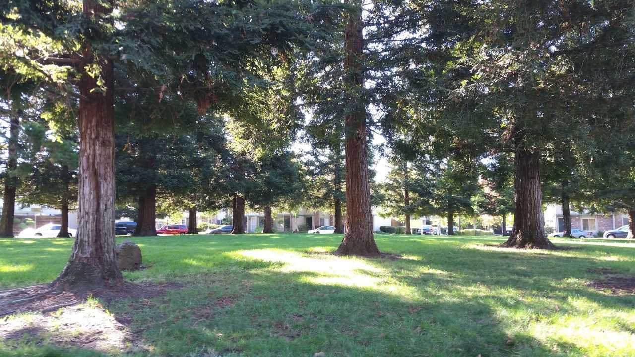 3715 Northwood Dr - Photo 2 of 24