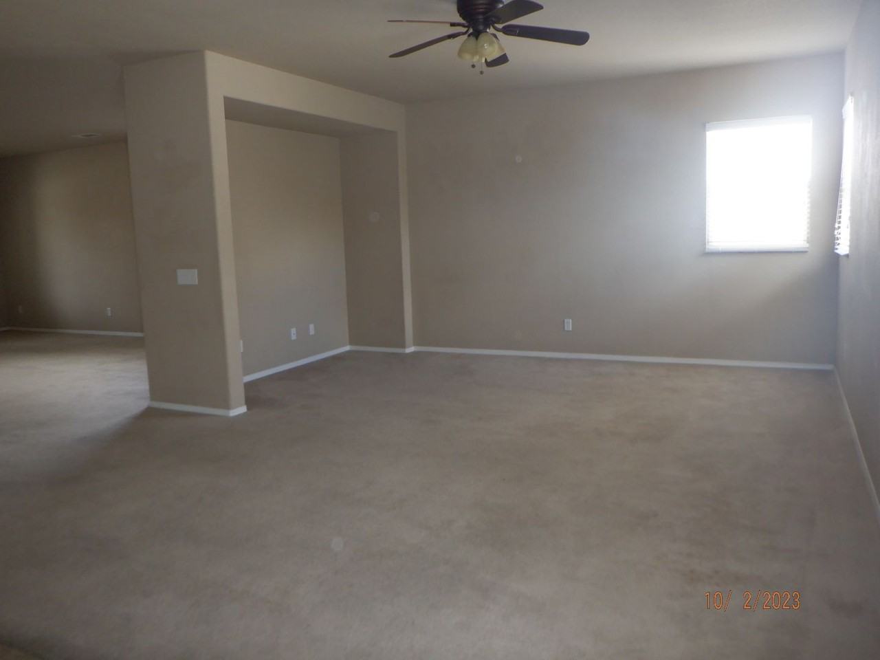 1438 Wild Olive Road - Photo 5 of 26