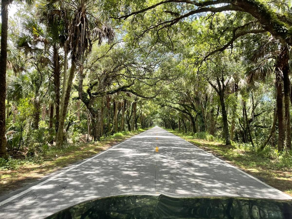 4502 Wild Turkey Ln #NA - Photo 2 of 50