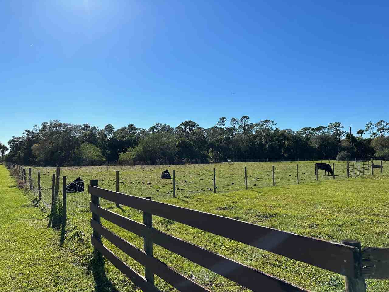 4502 Wild Turkey Ln #NA - Photo 4 of 50