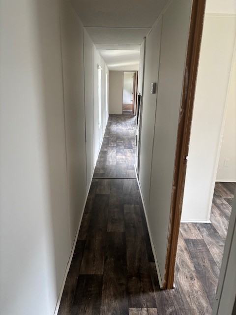 Daisy Ln #4 - Photo 3 of 10