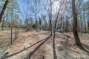 12028 Cedar Ln - Photo 1 of 1
