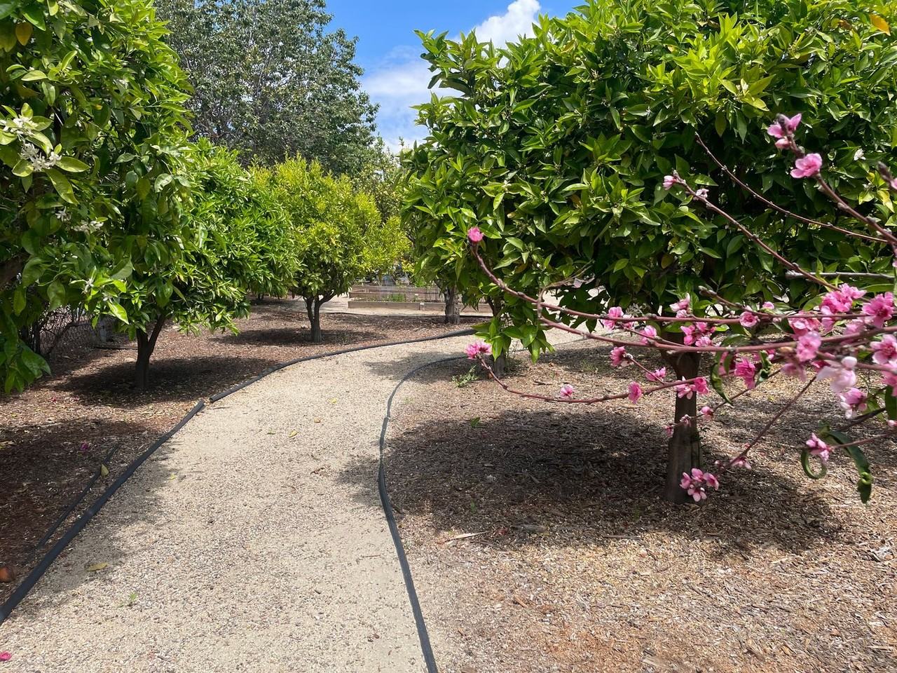 5757 University Ave - Photo 6 of 18