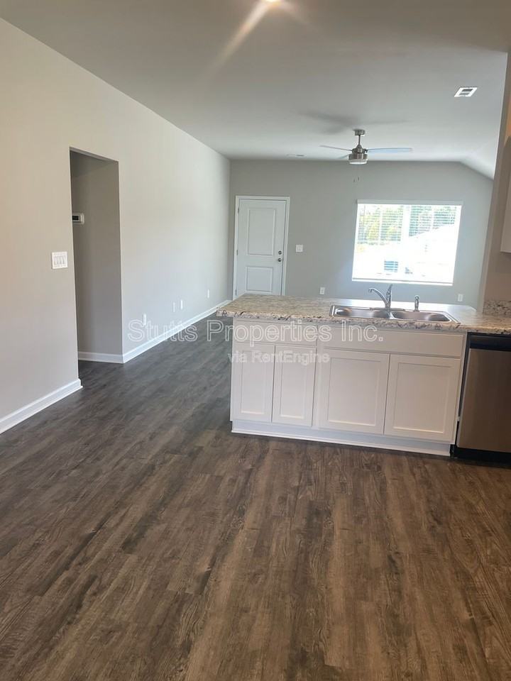 223 Faded Rose Ln - Photo 3 of 12