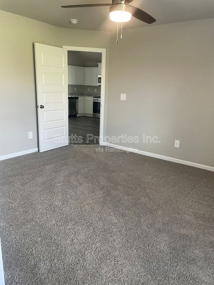 223 Faded Rose Ln - Photo 4 of 12